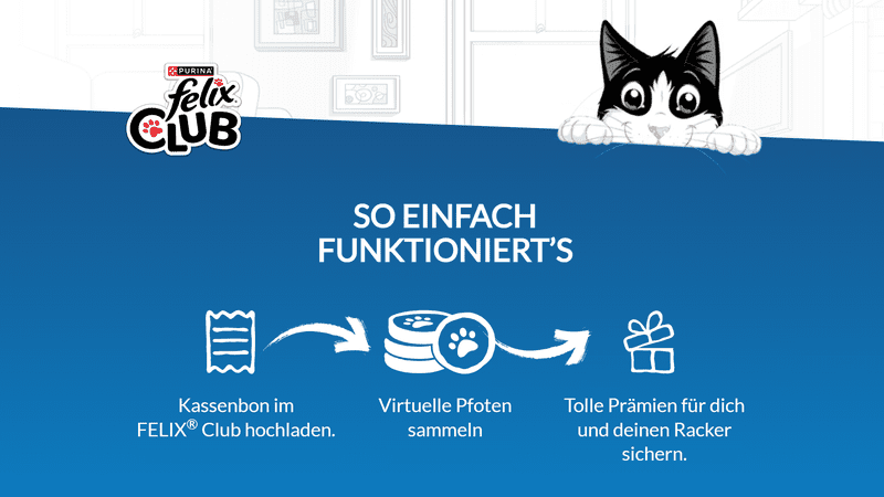 FELIX Club Treueprogramm – Pfoten sammeln und Prämien sichern